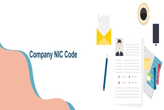 How to find a company's NIC code 2008 (industrial activity) 